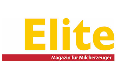 Entdecken Sie unsere Elite Online-Serien und Newsletter 2025