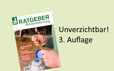 Basiswissen für Profis