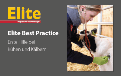 Erste Hilfe bei Kälbern und Kühen