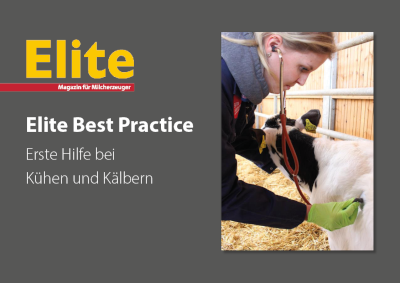 Erste Hilfe bei Kälbern und Kühen