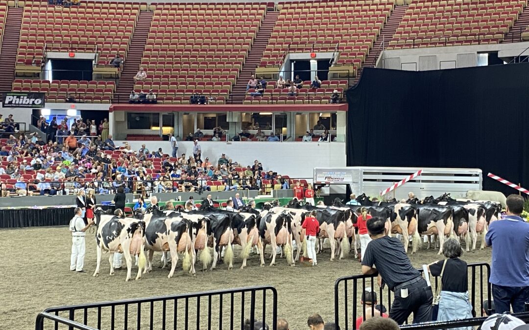 Unterwegs in den USA