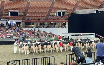 Unterwegs in den USA