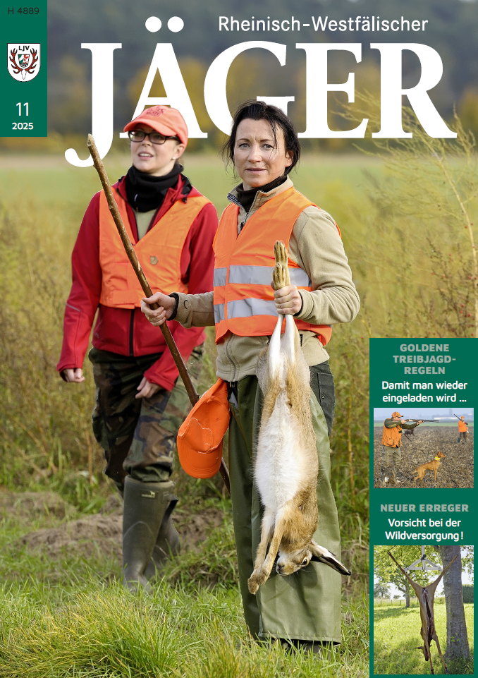 Zu den RWJ Preisen & Terminen